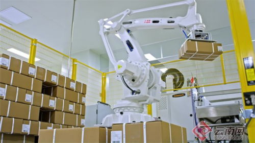 云南生物醫藥產業崛起 從血液制品到疫苗，本土生物技術“強身健體”新篇章